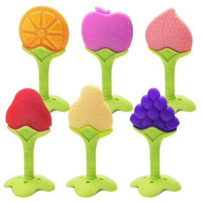 BPA Free Freezer Safe Silicone Fruit Baby Teethers Soothe Babies Gums Set