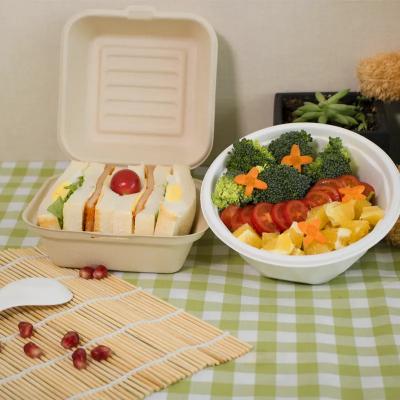 Sandwich hamburger bakery bread box Bagasse disposable lunch box